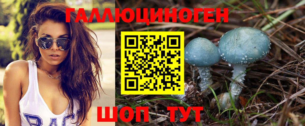 Псилоцибиновые грибы GOLDEN TEACHER  Вход с VPN  Галлюциногенные грибы Psilocybine cubensis  дарнет шоп  Моршанск 